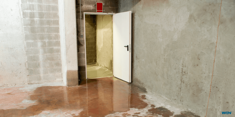 Moisture or Water in the Basement.png