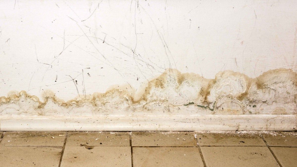 Mold growth on a white wall in a room, showing dark patches.