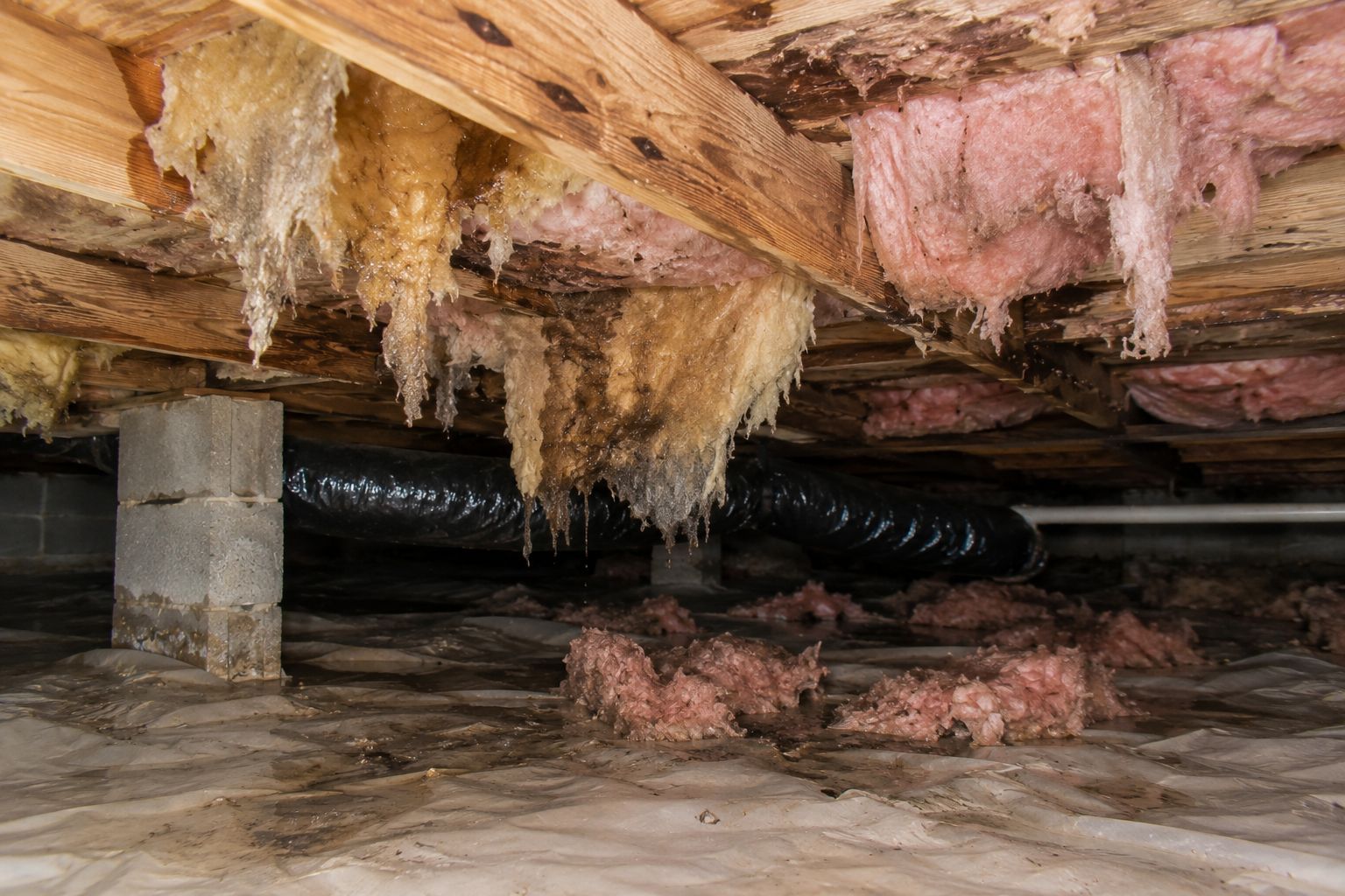 Water-soaked crawl space insulation hanging from floor joists after prolonged moisture exposure.