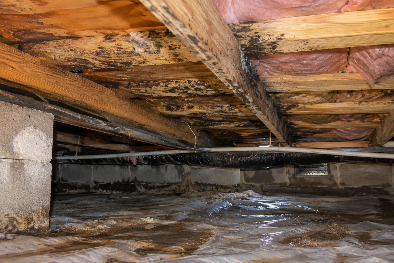 Mold growth on wooden floor joists and insulation in a damp crawl space caused by excess moisture, affecting indoor air quality.