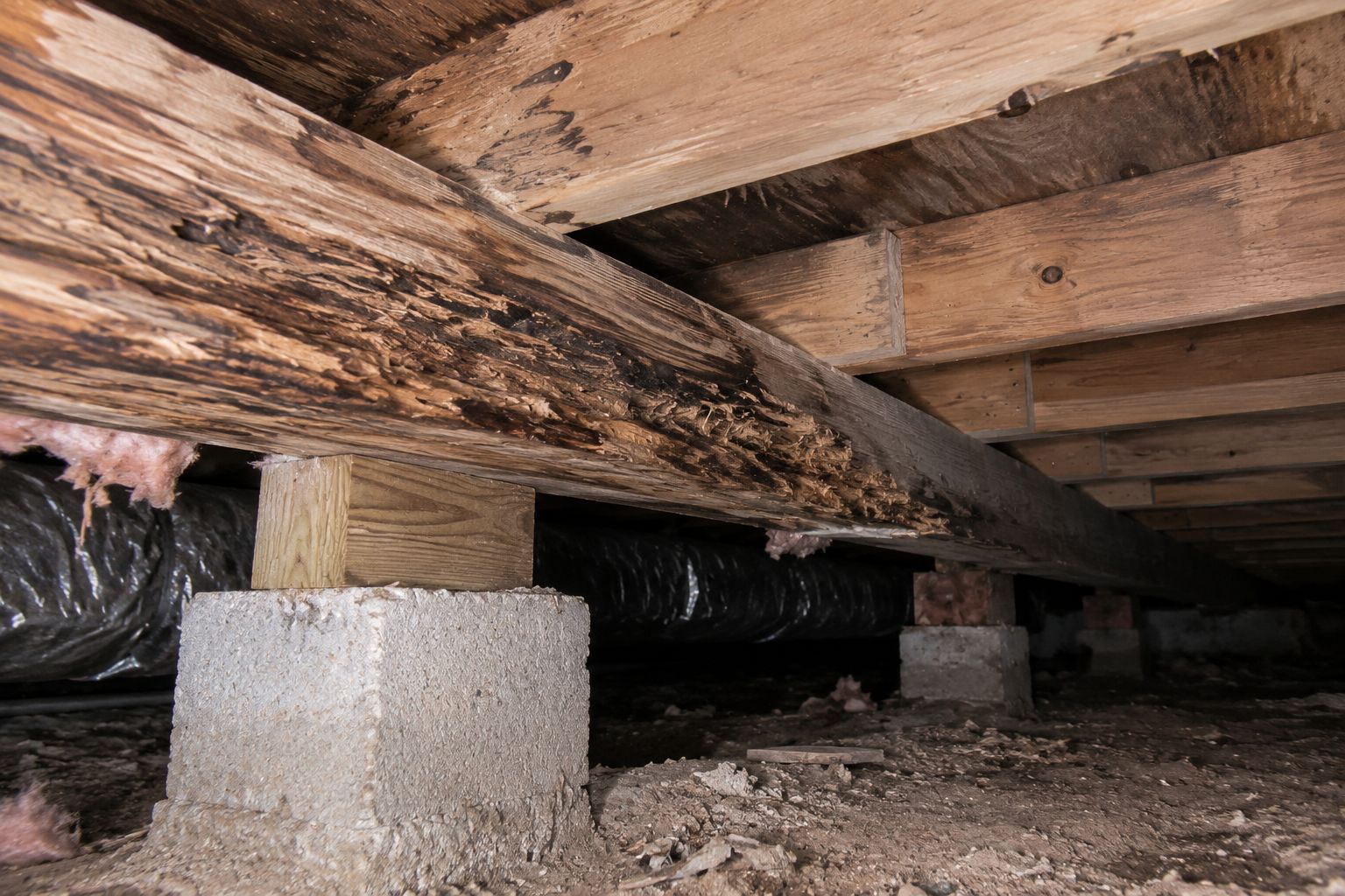 Water-damaged wooden floor joists in a crawl space showing signs of wood rot and structural deterioration.